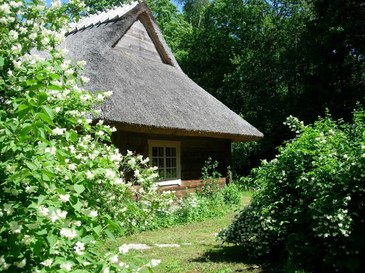 Kotka Farm Saarekula Exterior foto